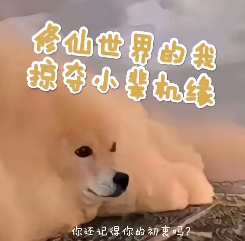 修仙世界的我掠夺小辈机缘